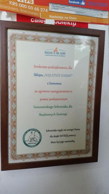 Bez tytuu