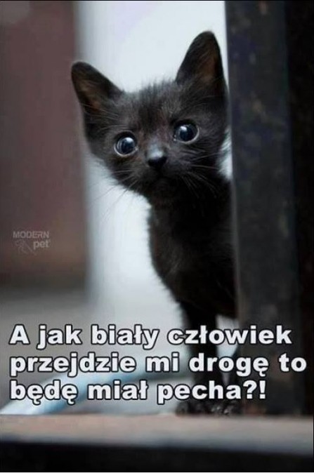 Obrazek