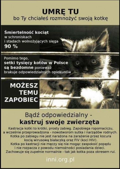 Bez tytuu