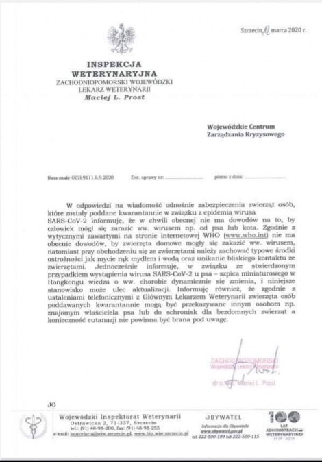 Bez tytuu