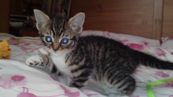 Lola