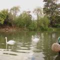 Grand Union Canal