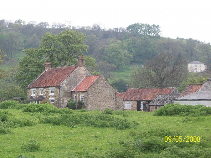 N. Yorkshire Moors