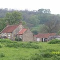 N. Yorkshire Moors