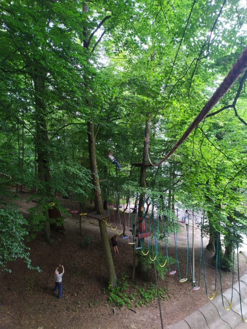 Park linowy Poznan 2020