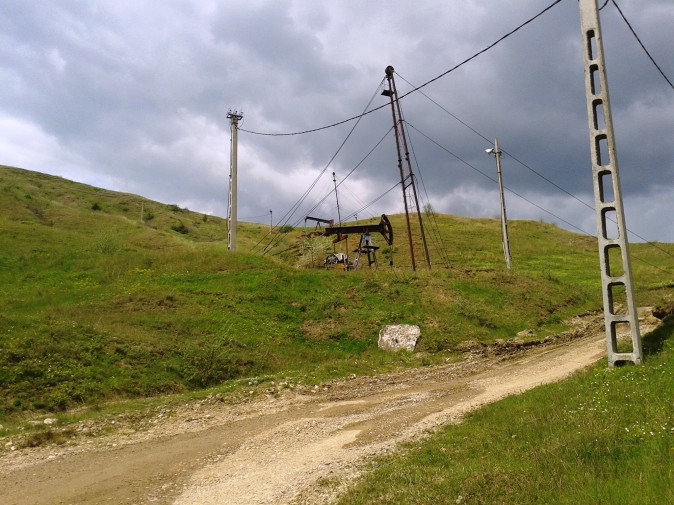 Bez tytuu
