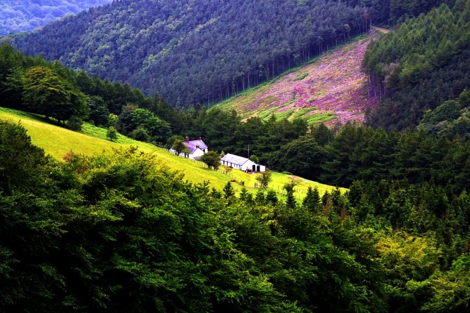 panorama