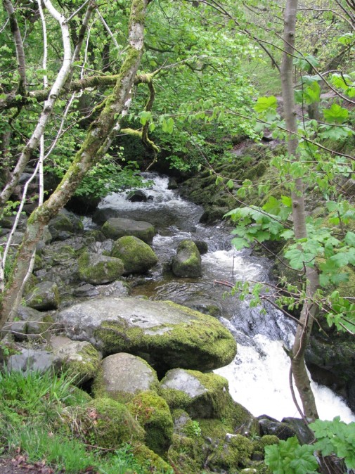Cumbria