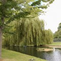 Hampton Court Palace