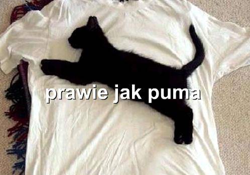 Bez tytuu