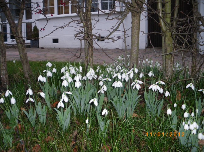 juz wiosna 2012