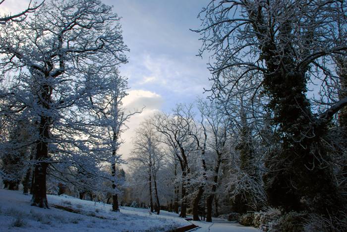 Wiosna w yorkshire2
