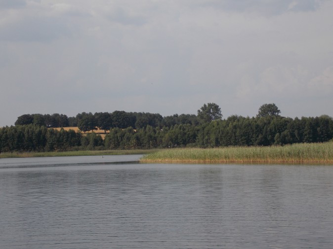 Bez tytuu