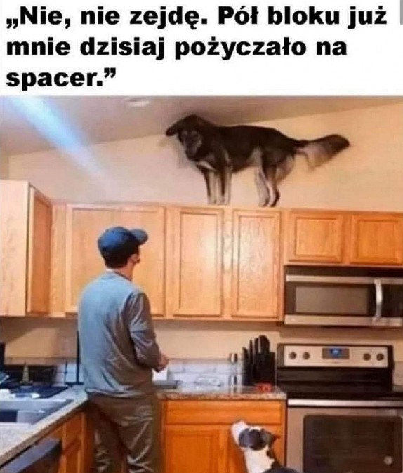 jak to w PL
