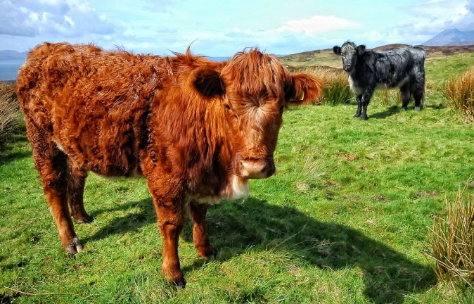 Isle of Skye