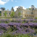 Cherkley Court