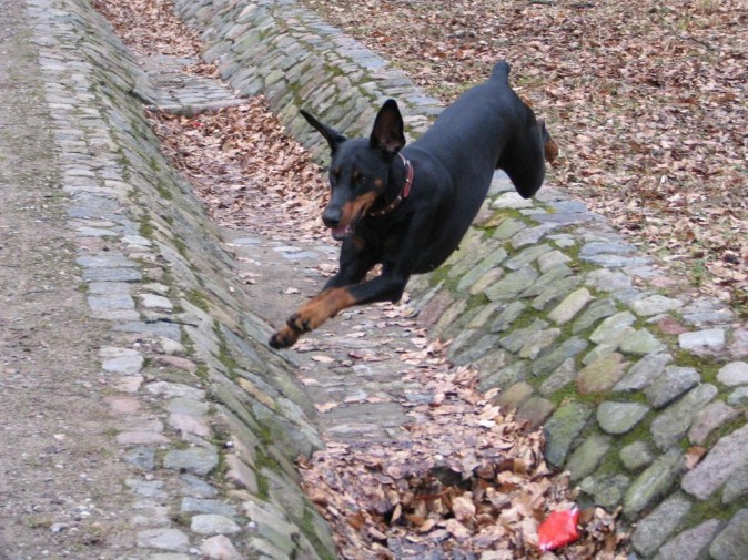 Jump