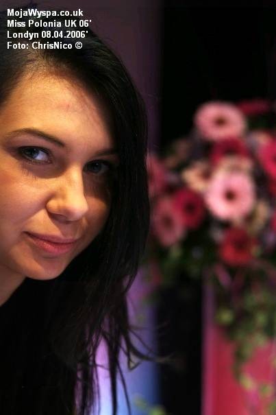 2006