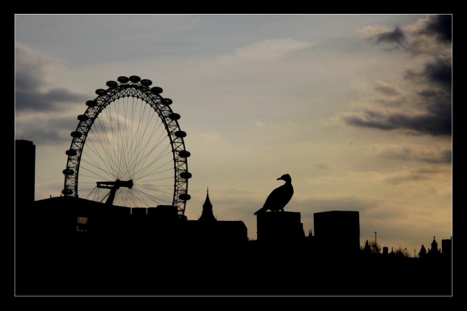 London by night