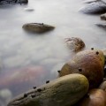 Kimmeridge uk