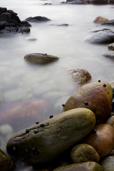 Kimmeridge uk