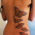 moje butterflies  xxx