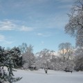 York w sniegu