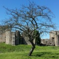 Barnard Castle 