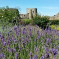 Barnard Castle 2