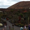 Ogrd Kaktusowy, Lanzarote