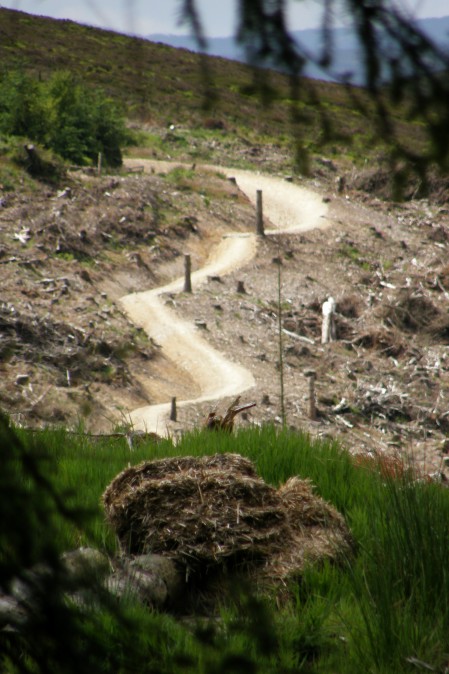 Coed Llandegla 