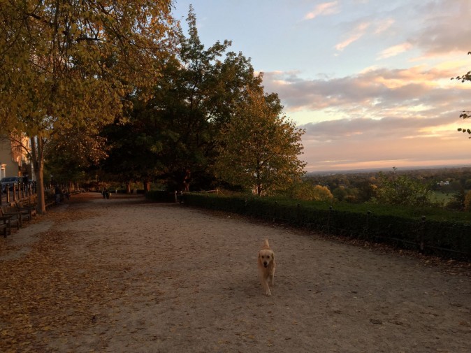 Richmond Hill