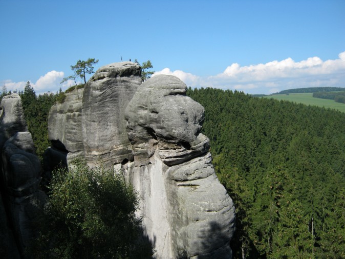 Widoki