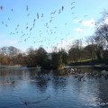 Lister Park