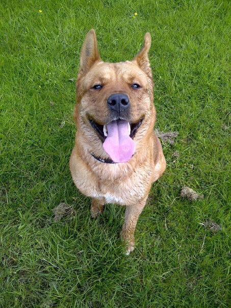Tasha