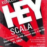 Koncert zespou HEY