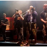 Kult - koncert